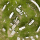Image for article titled Archaeologists Confirm That Stonehenge Was Once A Complete Circle